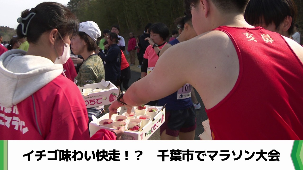 食べ放題の「給いちご所」が大人気！「千葉市いちごマラソン」に約２８００人参加（20260228放送）
