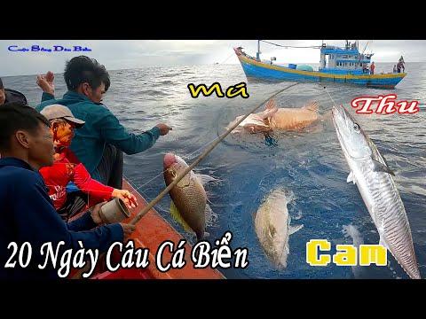 FULL 20 NGÀY