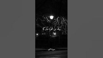 "تلاوة مؤثرة جدًا 😢 سورة النور بصوت الشيخ ماهر المعيقلي"