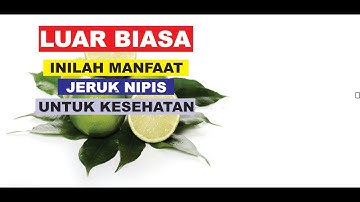 BANYAK BELUM TAU!!! Ternyata ini Manfaat Jeruk Nipis U9ntuk kesehatan