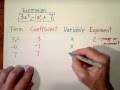 Vocabluary:Expression, Term, Coefficient, Variable, and Exponent, & Combining Like Terms.WMV