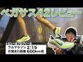【世間の評価と感じ方が違う!?】ペガサス42を徹底レビュー