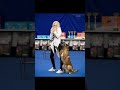 Учёный пёс: танцы с собаками. Ильина Полина и Малинуа Илим.