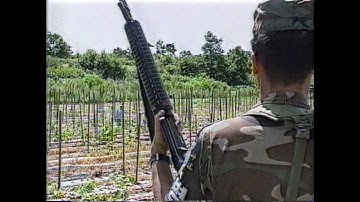 8th U.S. Army in the 90s (223 Extra): Tae Song Dong, known as Freedom Village inside the DMZ