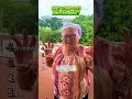 What Sound Does A Dinosaur Make 