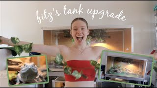 UPGRADING MY BEARDED DRAGON'S TANK!... AGAIN by Taylor Crane 26,853 views 3 years ago 7 minutes, 57 seconds