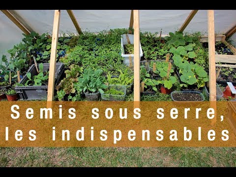 Semis sous serre, les indispensables - YouTube