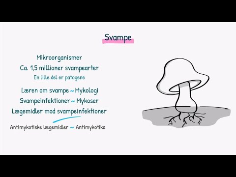 Video: Er svampe encellede?