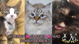 BENNY 💞 SMOOKY💞FARO                                                     |FUNNY MOMENTS| by Usman Ahmed 2,701 views 3 years ago 7 minutes, 22 seconds