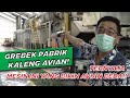 BONGKAR RAHASIA AVIAN Bisa Jadi BRAND CAT Nomor 1!! - Tour with Hermanto Tanoko