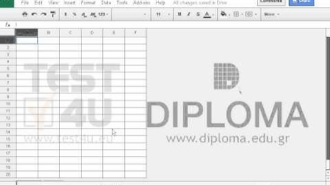 Rename the sheets of the active workbook as follows:   Sheet1: Income  Sheet2: Expenses  Sheet3:...