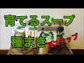 【中学技術】生物育成_育てるスープ_パクチー栽培(授業説明用動画)