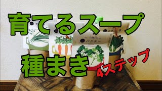 【中学技術】生物育成_育てるスープ_パクチー栽培(授業説明用動画)