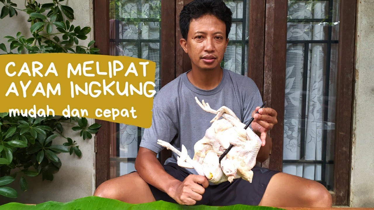 Cara Melipat Ayam Ingkung Mudah Dan Cepat - Youtube