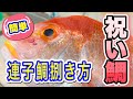 連子鯛塩焼き　下処理からお食い初め用に焼き方まで解説グリルで焼けます