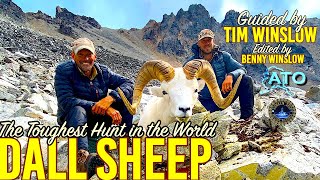 Hunting Dall Sheep with Timmy Winslow (ALASKA)