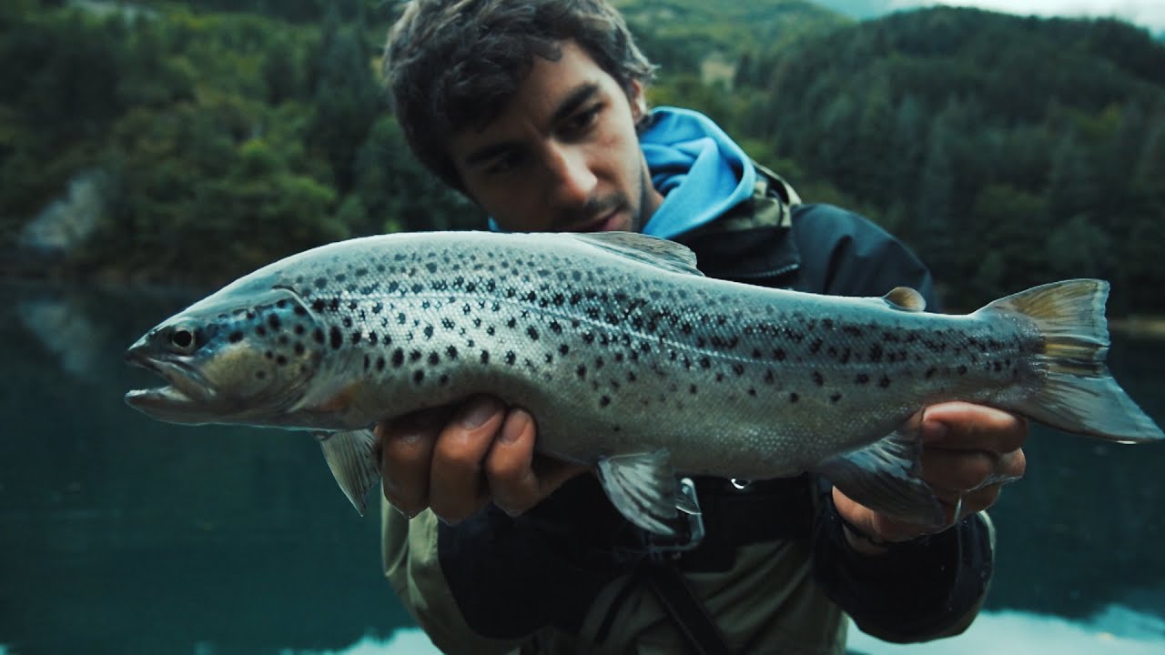 Match The Hatch - Trota vs Trota