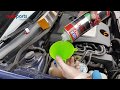 VW Golf TDI Diesel Spulung Liqui Moly + Filtro gasóleo