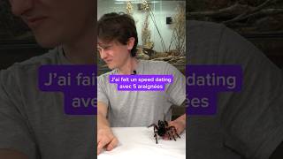 Mon Speed Dating Avec 5 Araignées Ft