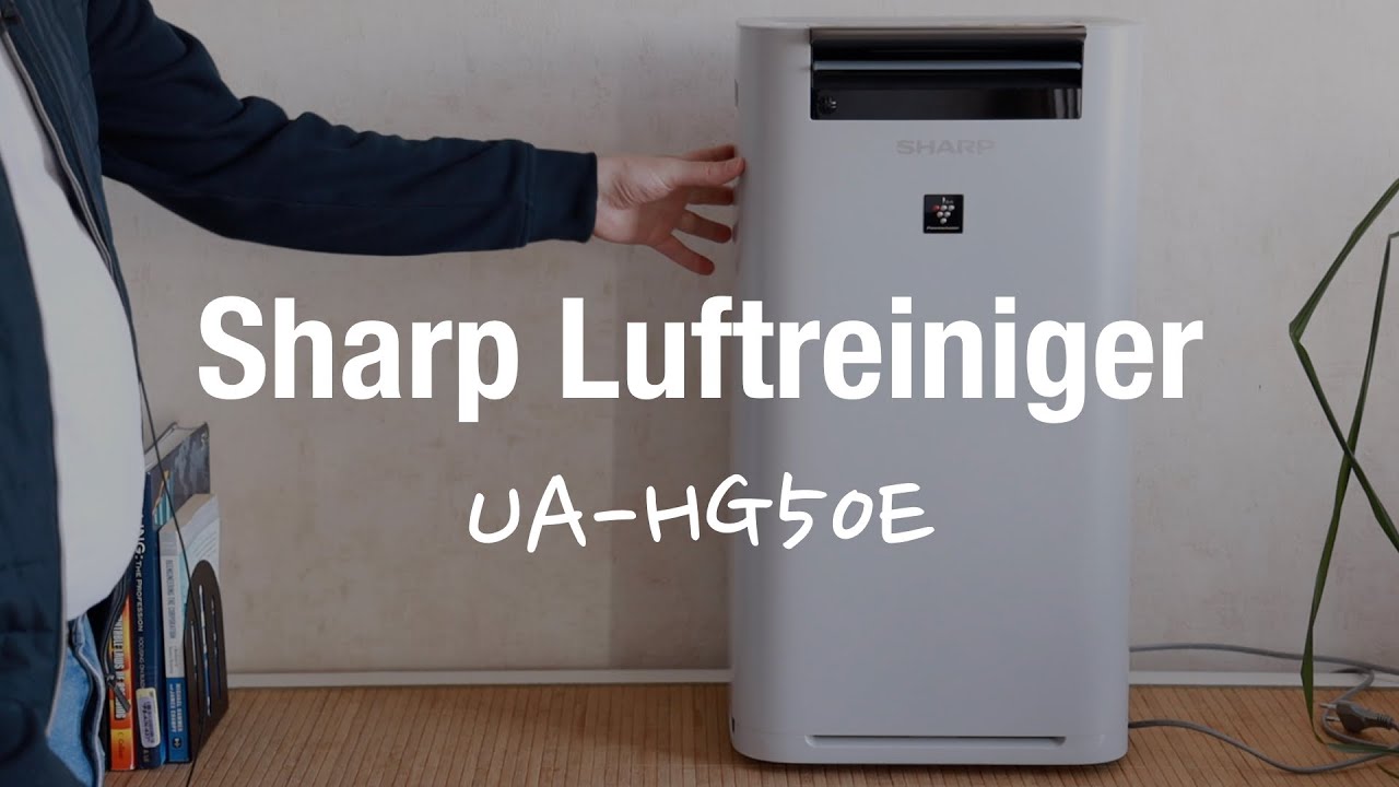 Luftreiniger Test Allergie