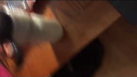 Udacity full stack dev rename files