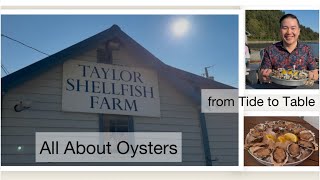 Taylor Shellfish Farm - Samish Bay, Washington; The best OYSTERS experience in Pacific Northwest