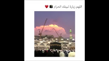 حالات واتس اب دينية قرآن | حالات واتساب | ماهر المعيقلي | سورة الفاتحة من الحرم