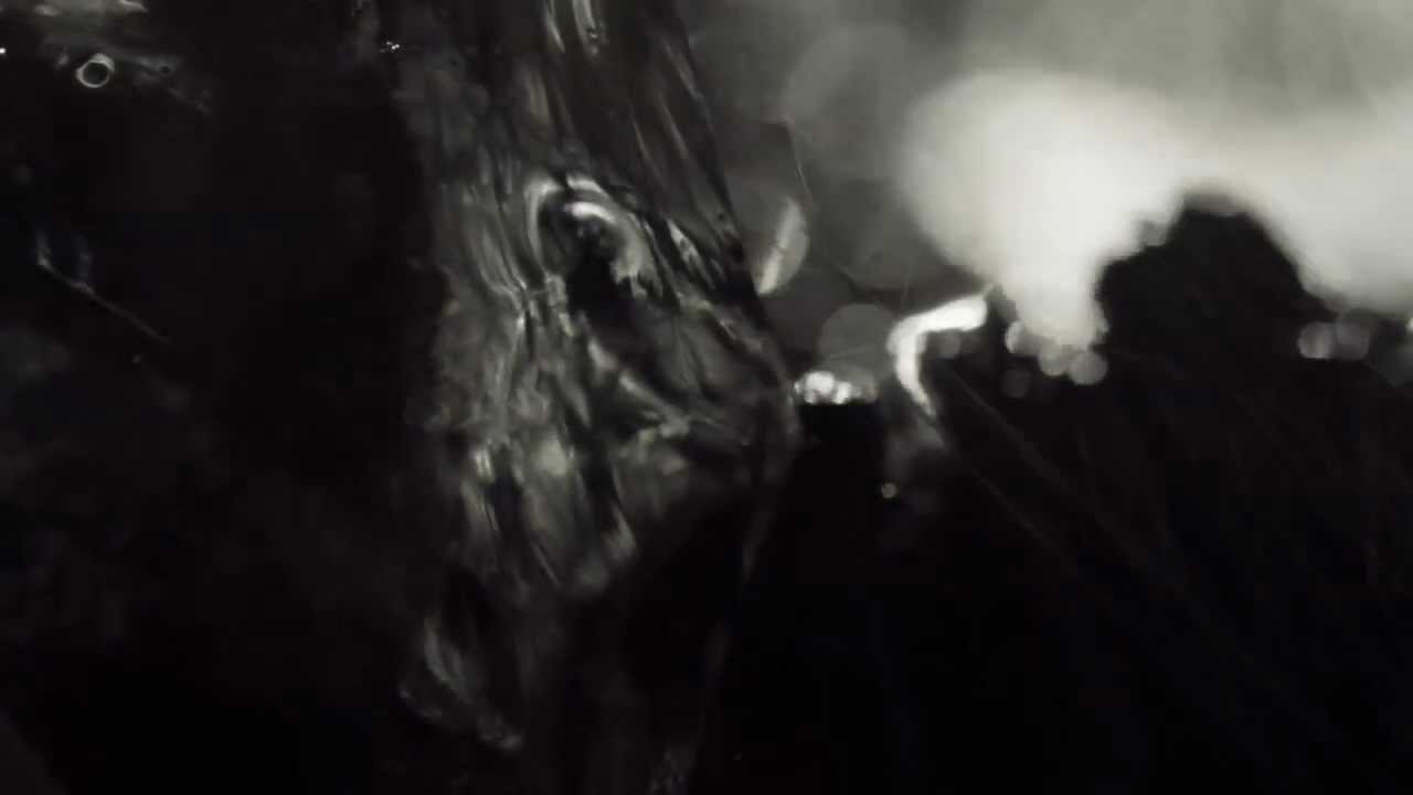 Obejrzyj SHRUBBN!! & TRANSFORMA - ECHO 3|3 w YouTube Obejrzyj SHRUBBN!! & TRANSFORMA - ECHO 3|3 w YouTube