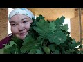 За черникой!Дубовые веники. Планирую так сделать🏠🌱🌼🌷🥕