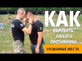 Как вырубить с одного удара  Куда и как бить в драке и спорте