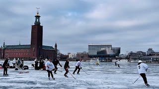 Stockholm on ice: Riddarfjärden is frozen and people walk, skate and play. 