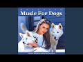 Dog separation anxiety music