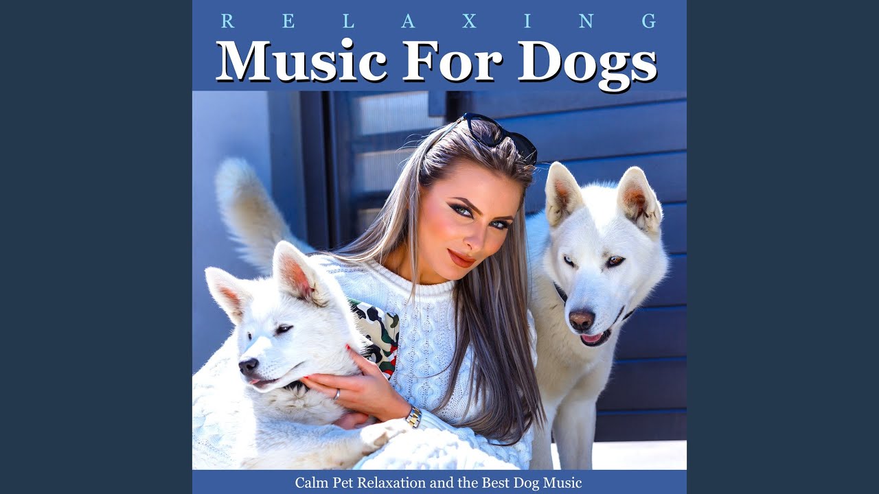 youtube dog separation anxiety music