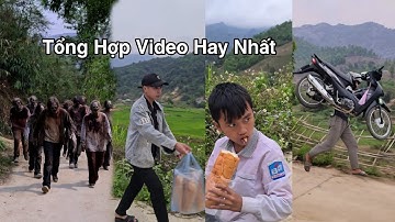 Tổng Hợp Video Hay Nhất Tuyền Vlog Và Cọp Kè