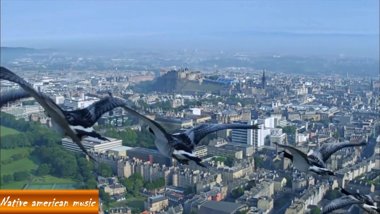 The Wings (Native American Music)