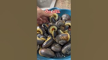 Lần đầu ăn ốc núi và cái kết #nguyennhutlinh #shorts #food #windnet