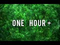 Bo En - Every Day (ONE HOUR +)