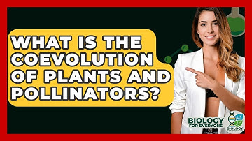 What Is The Coevolution Of Plants And Pollinators? - Biology For Everyone