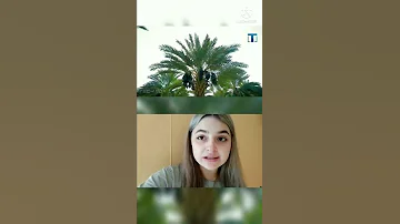 ФИНИК -  ФРУКТ ИЛИ  ЯГОДА ??