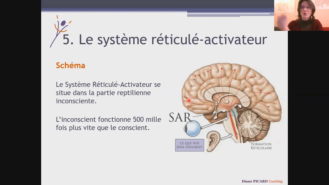 les-potentiels-cach-s-du-cerveau-5-le-syst-me-r-ticul-activateur