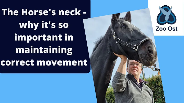 Neck pain in horses affects movement