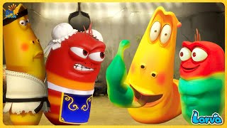 [Official] LARVA CARTOON FULL MOVIES 2025: HEAVY BOXER - Mini Series from Animation LARVA