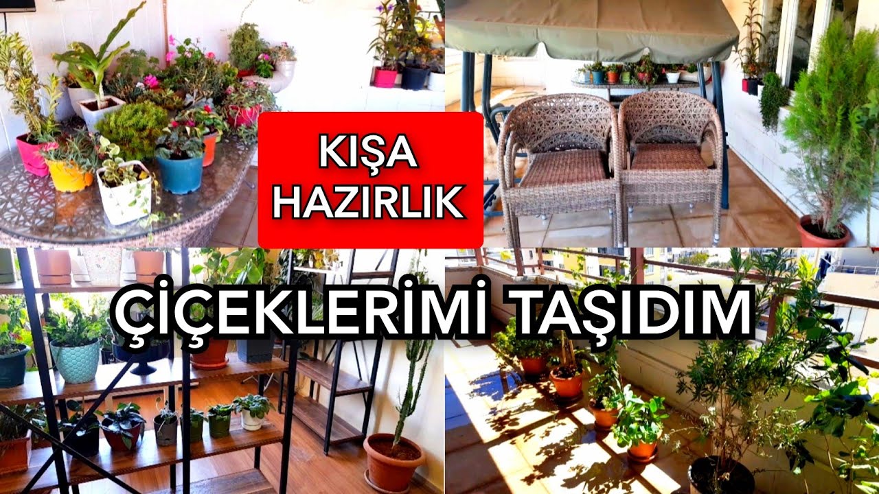 ÇİÇEKLERİMİ TAŞIDIM🪴⚘️ #kışhazırlıkları#soğuklargeldi
