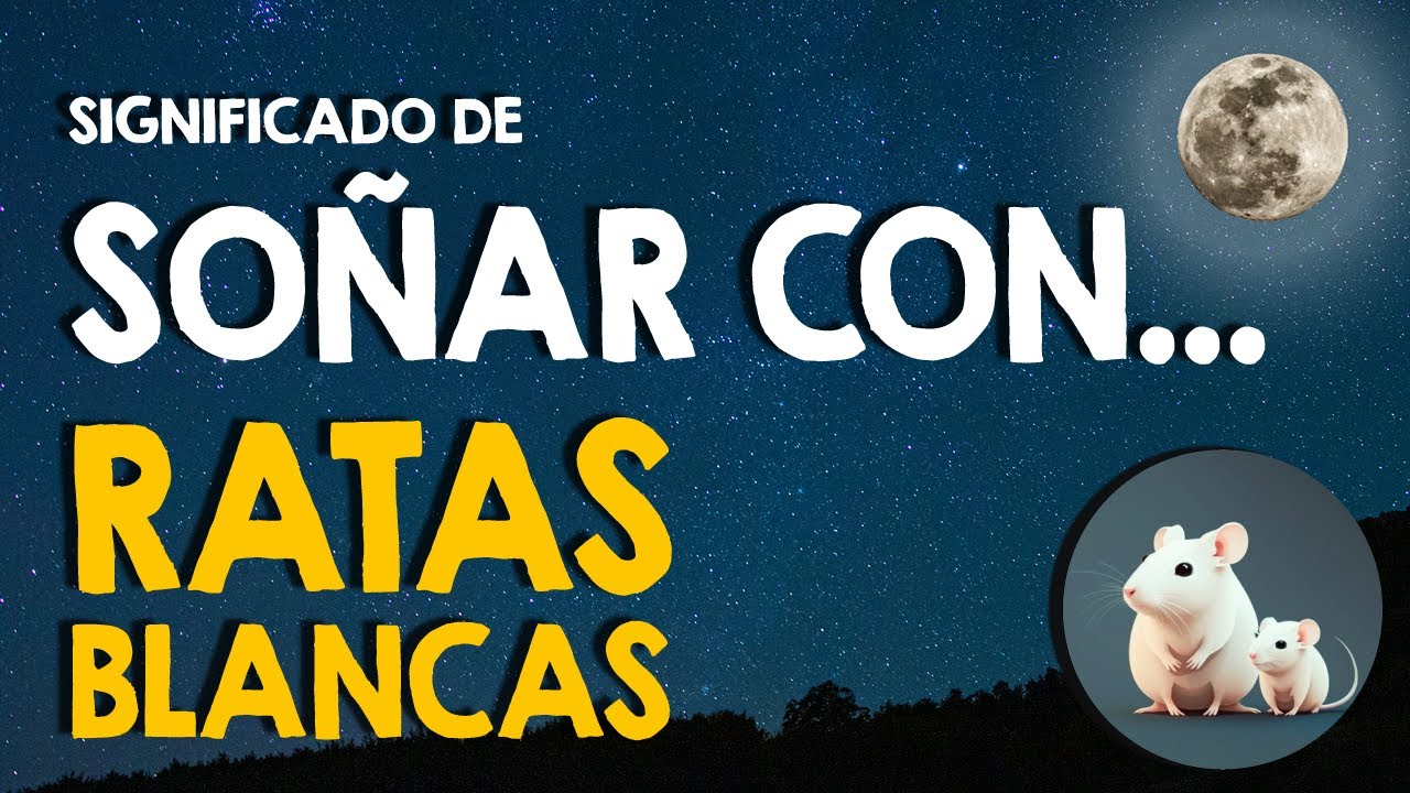 ¿Qué significa soñar con ratas blancas? 🐭 Soñar con ratas blancas