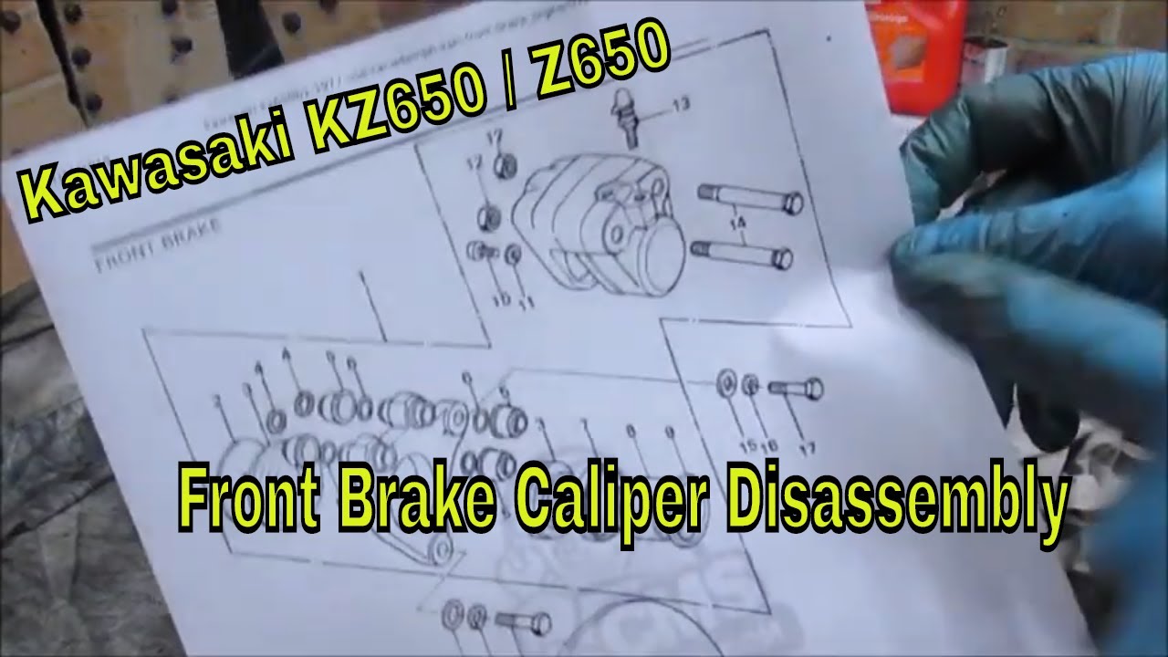 バンビ　剥製 ニシキエビの剥製を作ってみた｜魚道部！/ 剥製師 力石眞弘 (ﾁｶﾗｲｼ ﾏｻﾋﾛ)