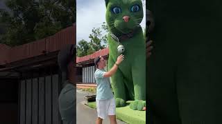 This cat is really alive! 🥰 #funny #cats #catvideos #tiktok #social #usafunny #catlovers #funpage