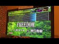 『FREEDOM』を歌ってみた