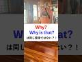 【衝撃】Why?とWhy is that?は同じではない?!ネイティブがよく使う英語フレーズ#英語 フレーズ