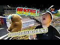 我在夜市花了3000台幣 竟然...得到了這些東西?!我賺了?!