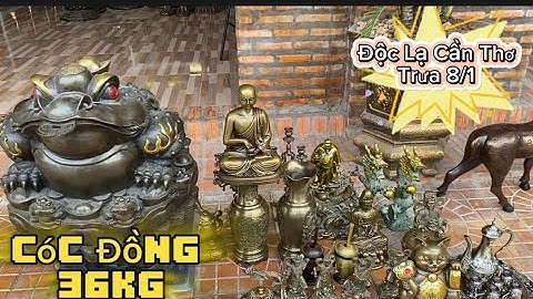 💥💥 Cóc Đồng 36kg _ Cặp Nai Hoa Mai _ Mèo Chiu Tài _ Tượng Đồng Xưa Cũ. Trưa 8/1 #độclạcầnthơ